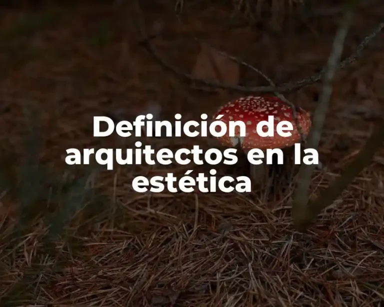 Definición de arquitectos en la estética