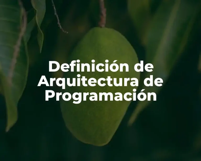 Definición de Arquitectura de Programación