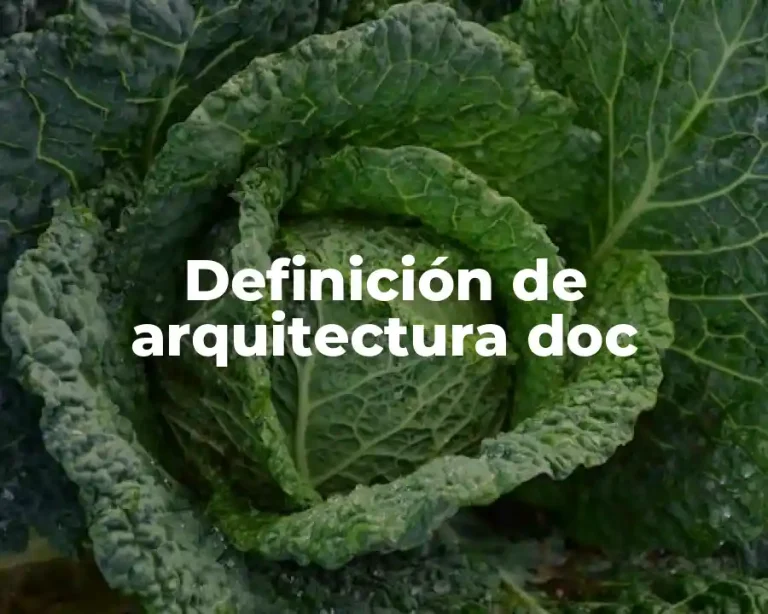 Definición de arquitectura doc