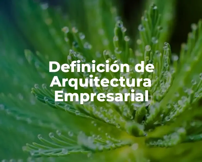 Definición de Arquitectura Empresarial