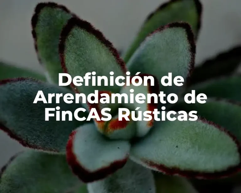 Definición de Arrendamiento de FinCAS Rústicas