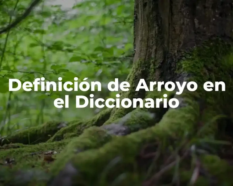 Definición de Arroyo en el Diccionario