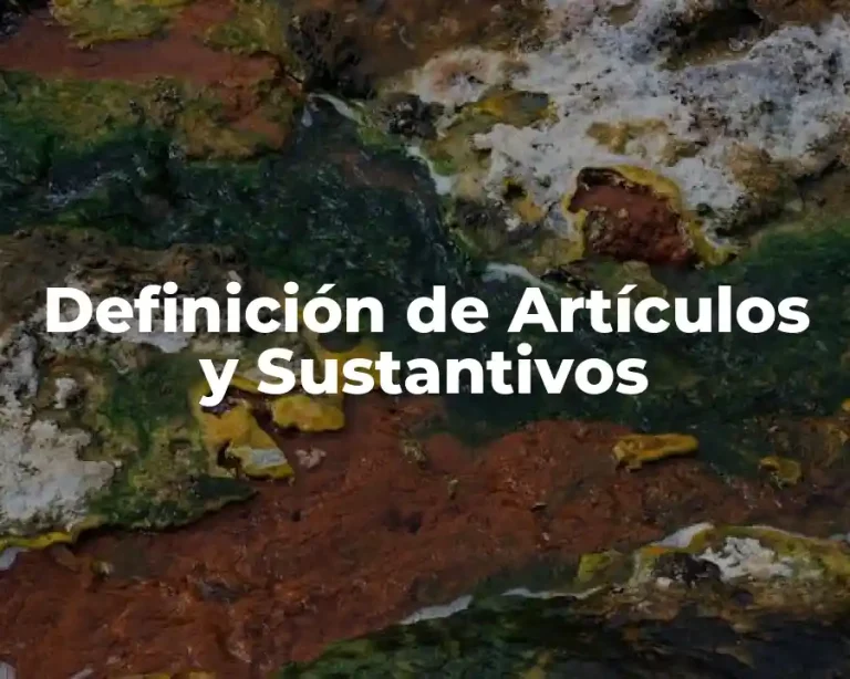 Definición de Artículos y Sustantivos