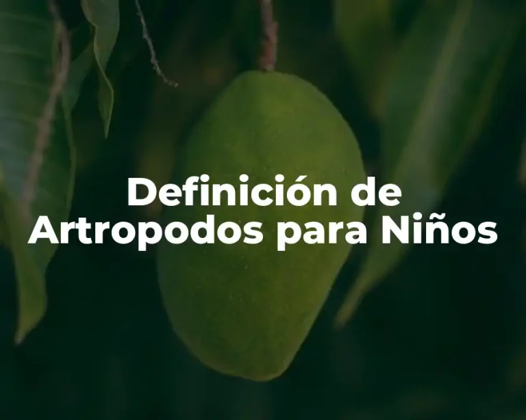 Definición de Artropodos para Niños