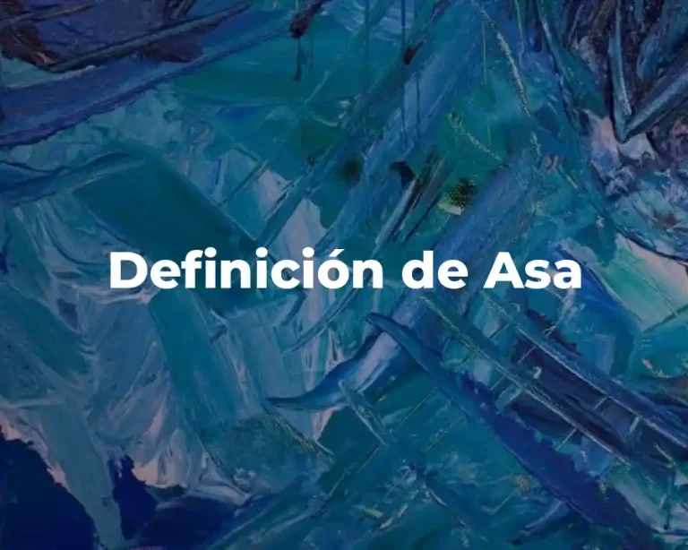 Definición de Asa