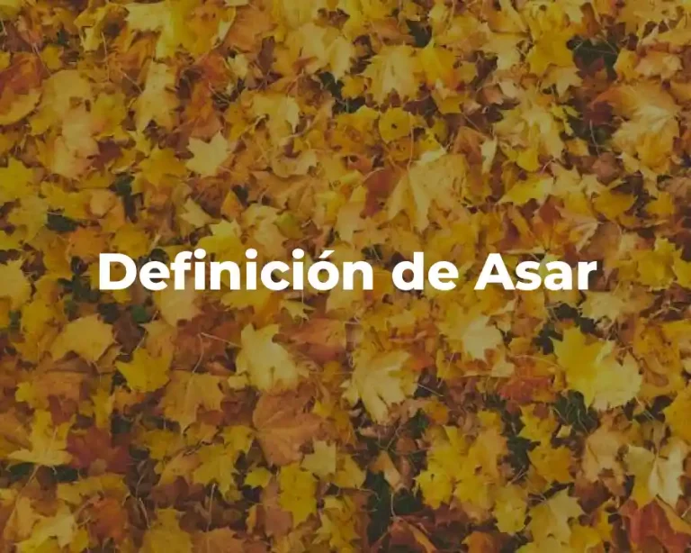 Definición de Asar