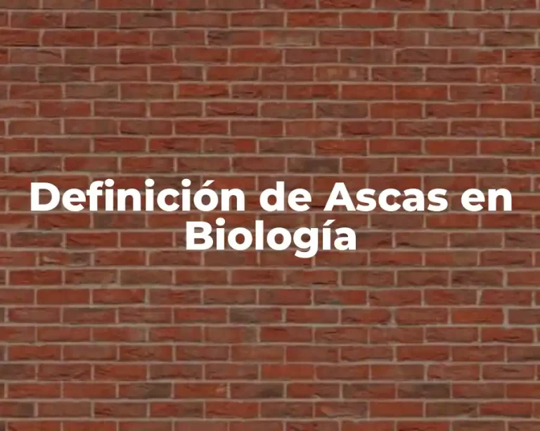 Definición de Ascas en Biología