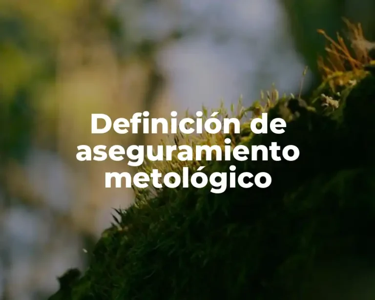 Definición de aseguramiento metológico