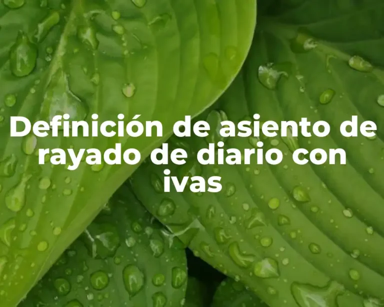 Definición de asiento de rayado de diario con ivas