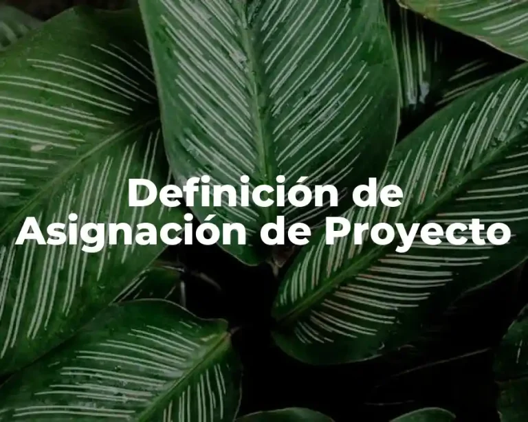 Definición de Asignación de Proyecto