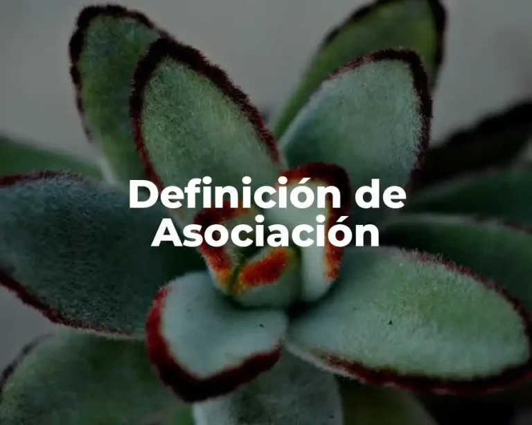 Definición de Asociación