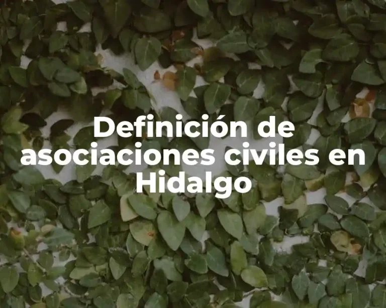 Definición de asociaciones civiles en Hidalgo