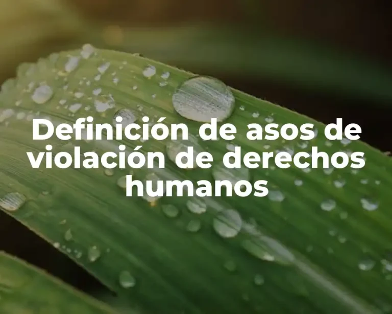 Definición de asos de violación de derechos humanos