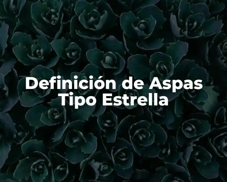 Definición de Aspas Tipo Estrella