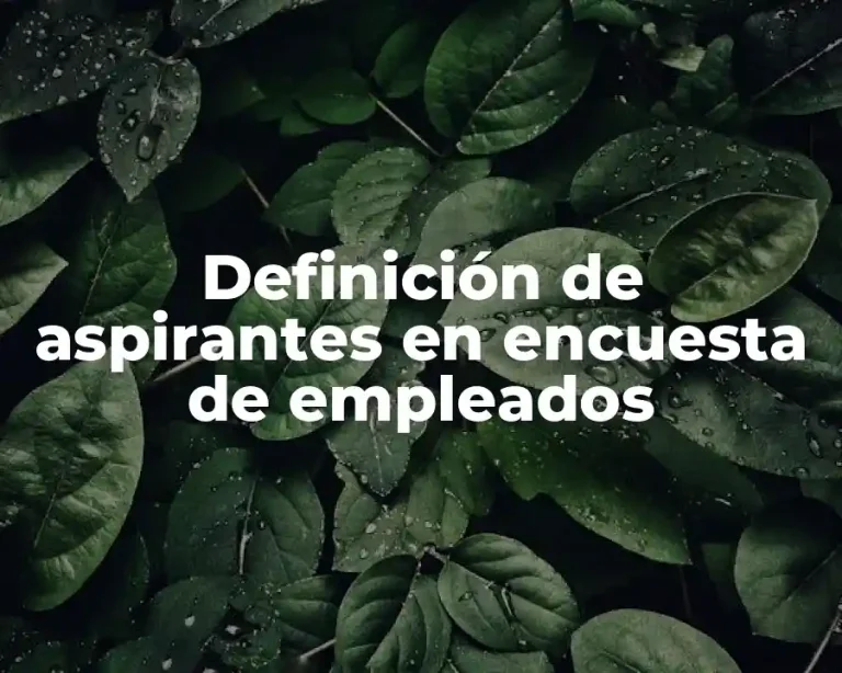 Definición de aspirantes en encuesta de empleados
