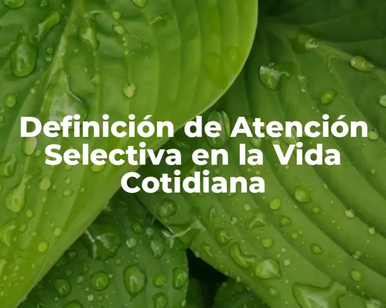 Definición de Atención Selectiva en la Vida Cotidiana