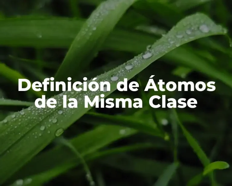 Definición de Átomos de la Misma Clase