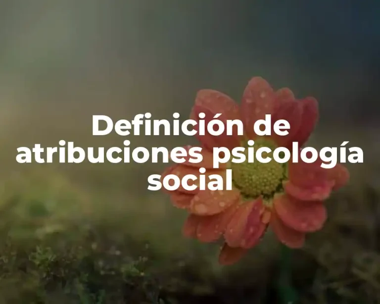 Definición de atribuciones psicología social