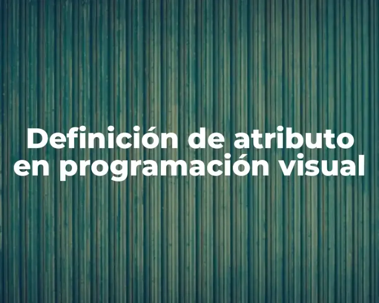 Definición de atributo en programación visual