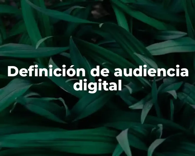 Definición de audiencia digital