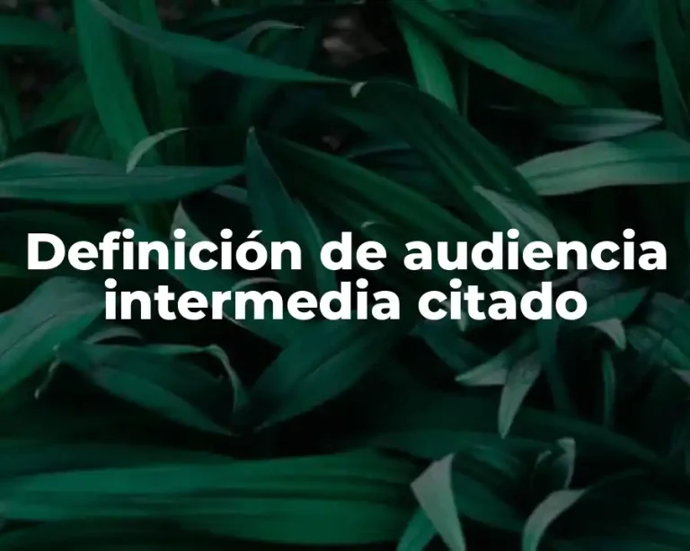 Definición de audiencia intermedia citado