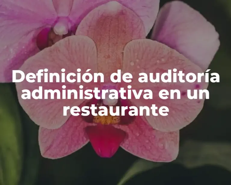 Definición de auditoría administrativa en un restaurante