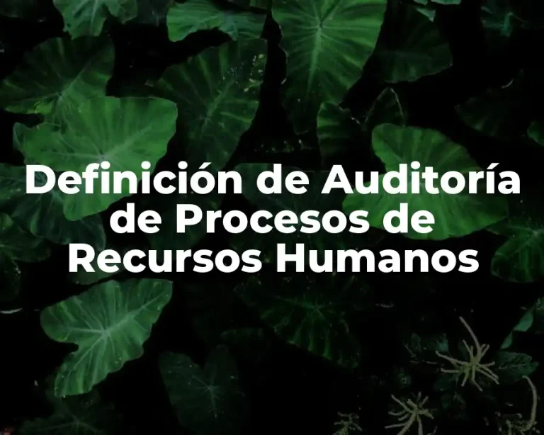 Definición de Auditoría de Procesos de Recursos Humanos