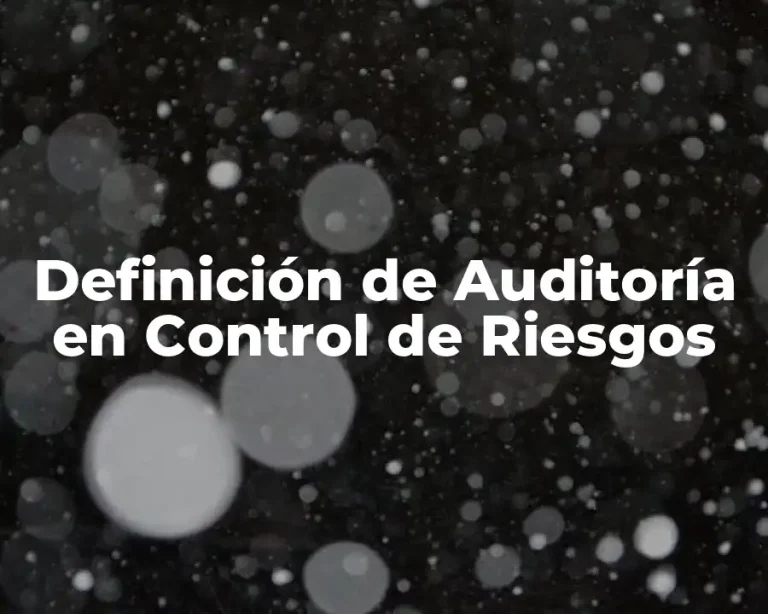 Definición de Auditoría en Control de Riesgos