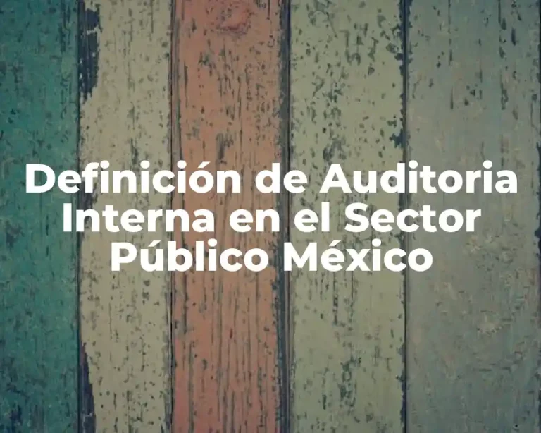 Definición de Auditoria Interna en el Sector Público México