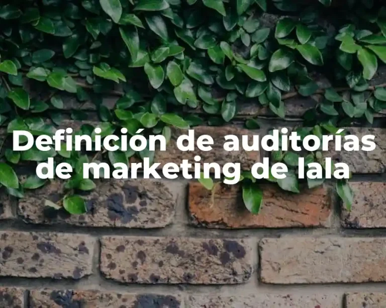 Definición de auditorías de marketing de lala