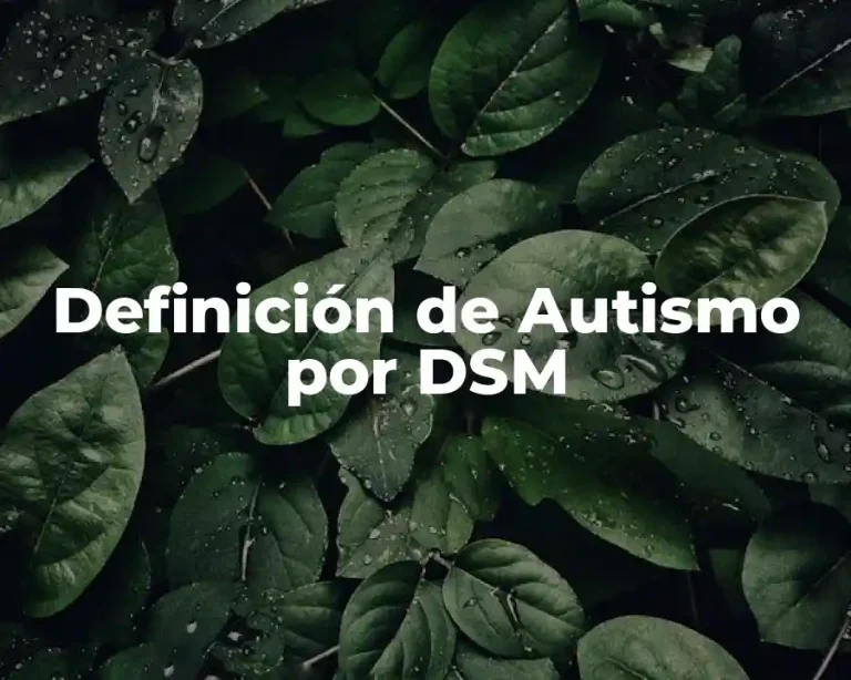 Definición de Autismo por DSM