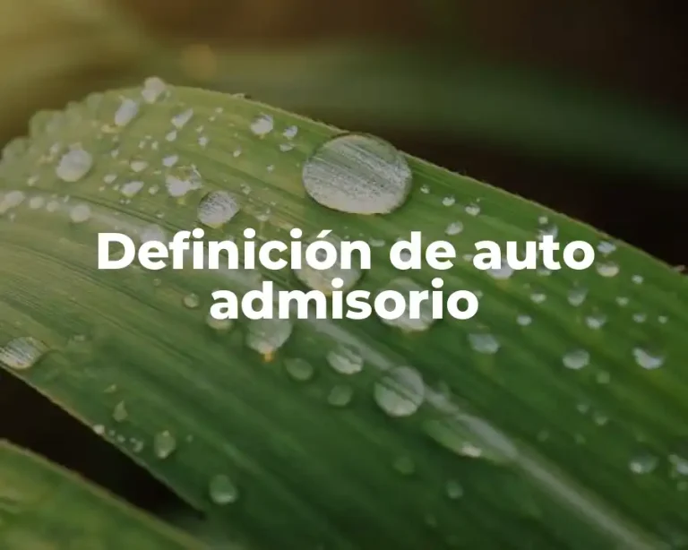 Definición de auto admisorio