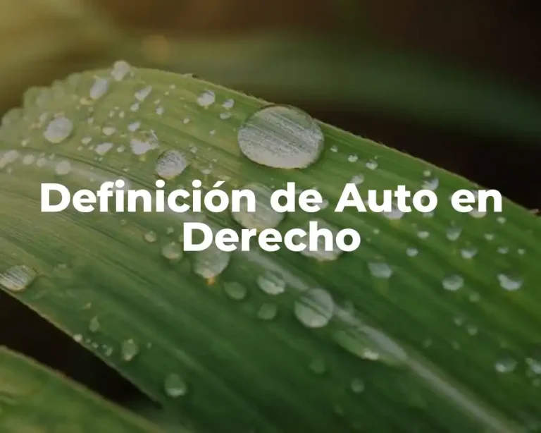 Definición de Auto en Derecho