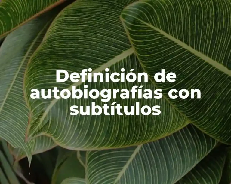 Definición de autobiografías con subtítulos
