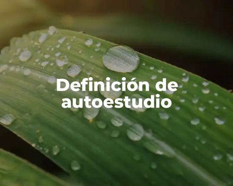 Definición de autoestudio