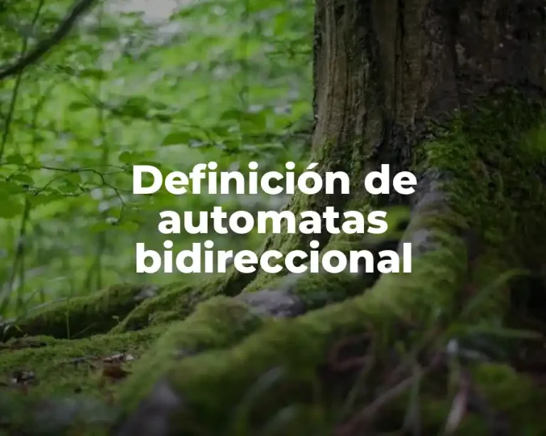 Definición de automatas bidireccional