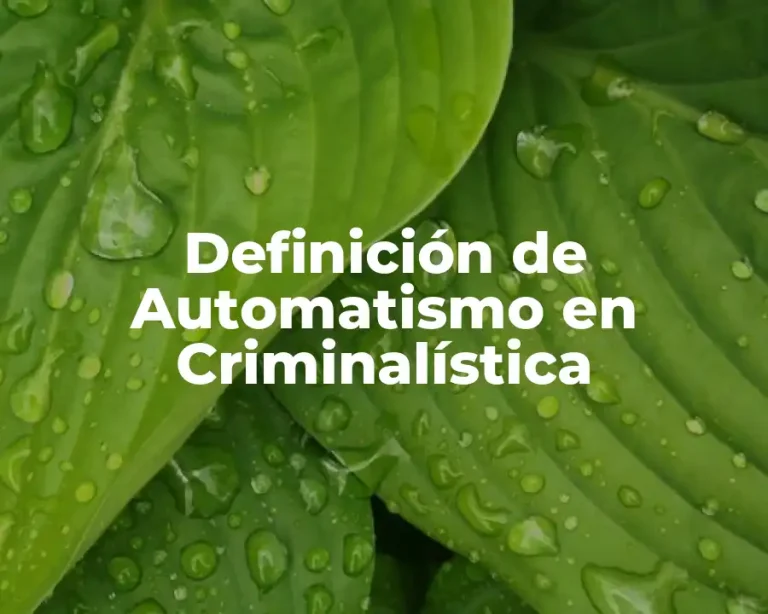 Definición de Automatismo en Criminalística
