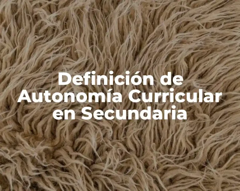Definición de Autonomía Curricular en Secundaria