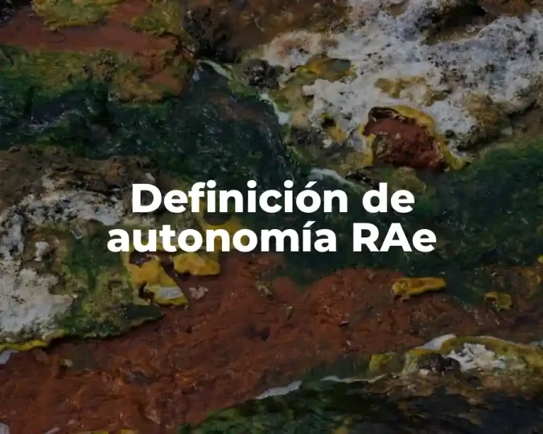 Definición de autonomía RAe