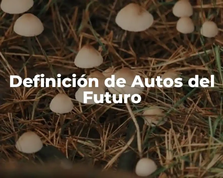 Definición de Autos del Futuro