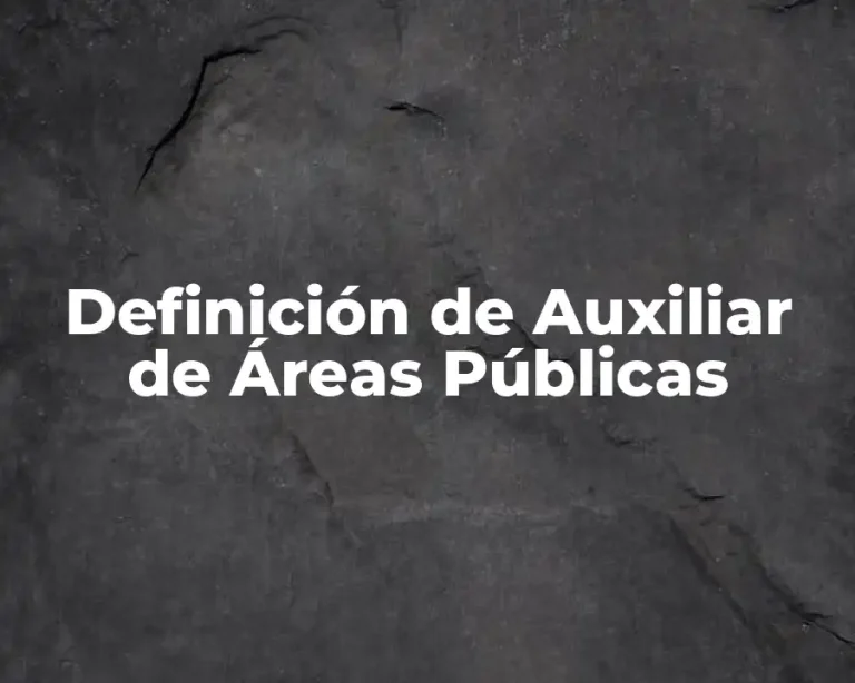 Definición de Auxiliar de Áreas Públicas