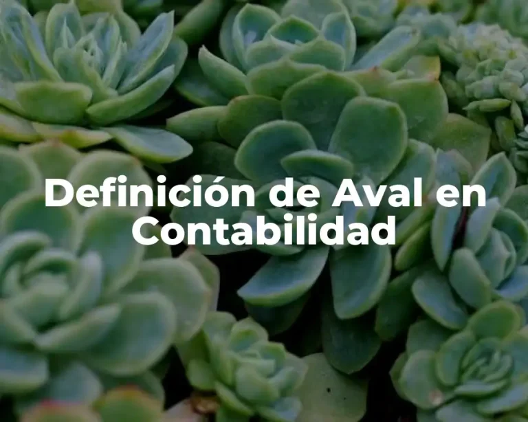 Definición de Aval en Contabilidad