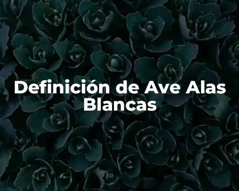 Definición de Ave Alas Blancas