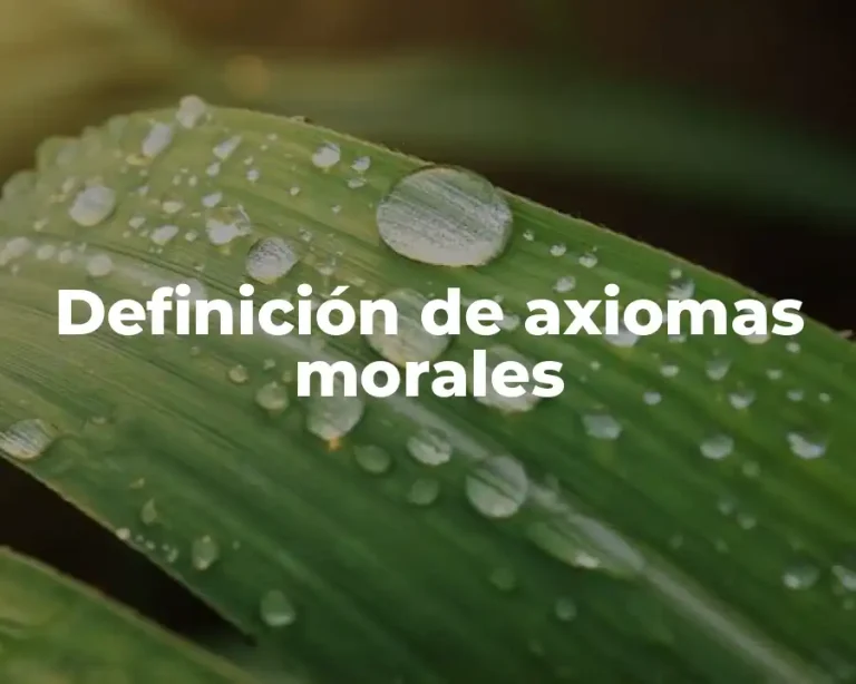 Definición de axiomas morales
