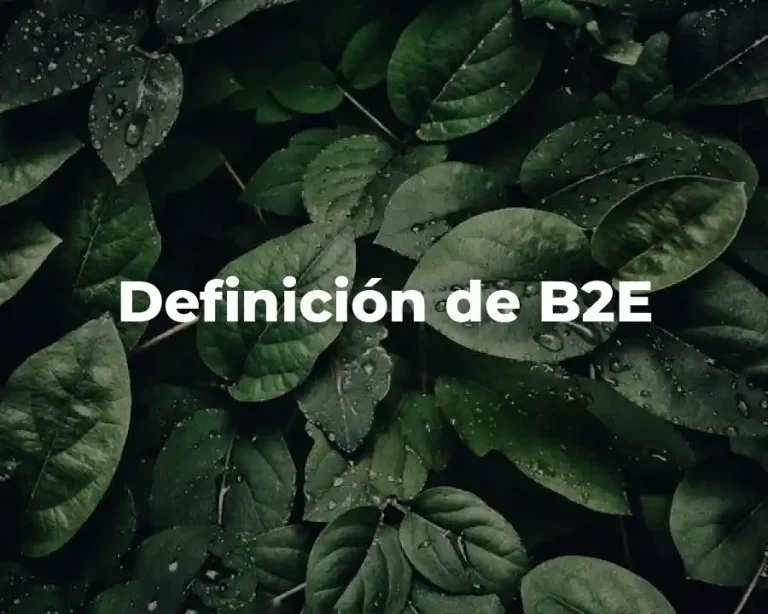 Definición de B2E
