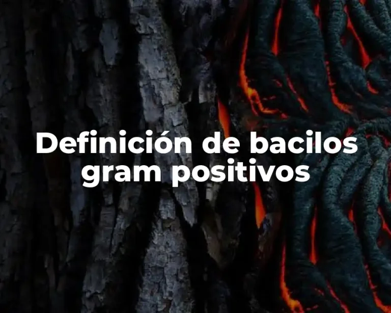 Definición de bacilos gram positivos