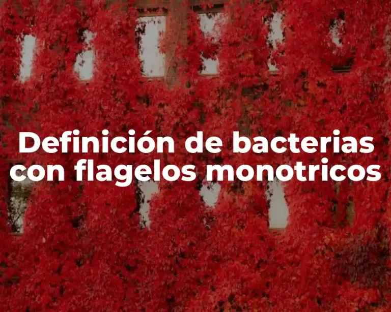 Definición de bacterias con flagelos monotricos