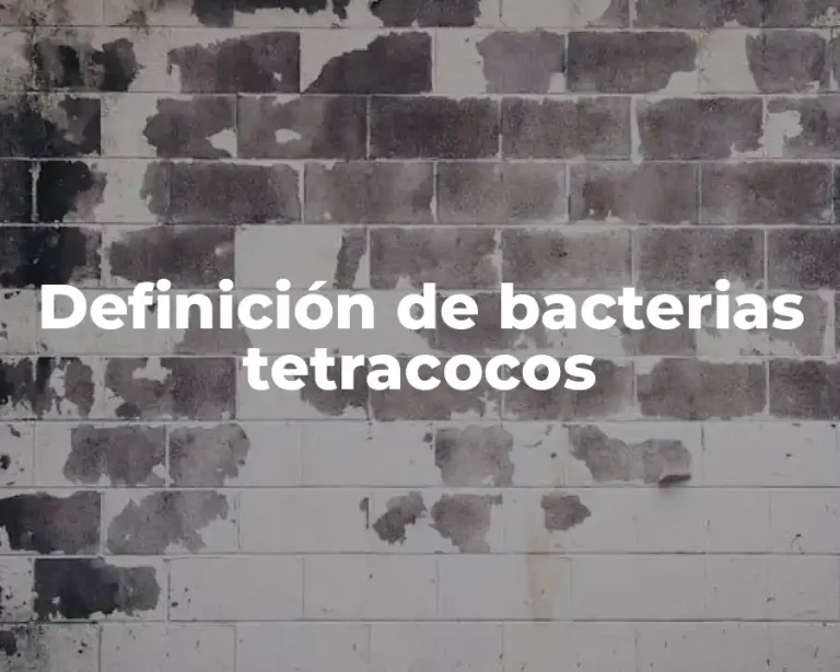Definición de bacterias tetracocos