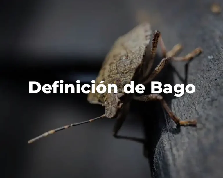Definición de Bago