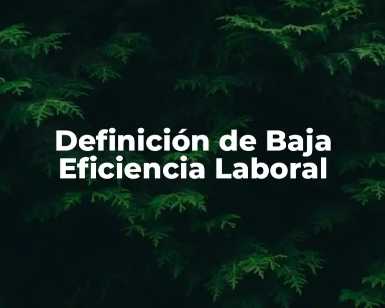 Definición de Baja Eficiencia Laboral